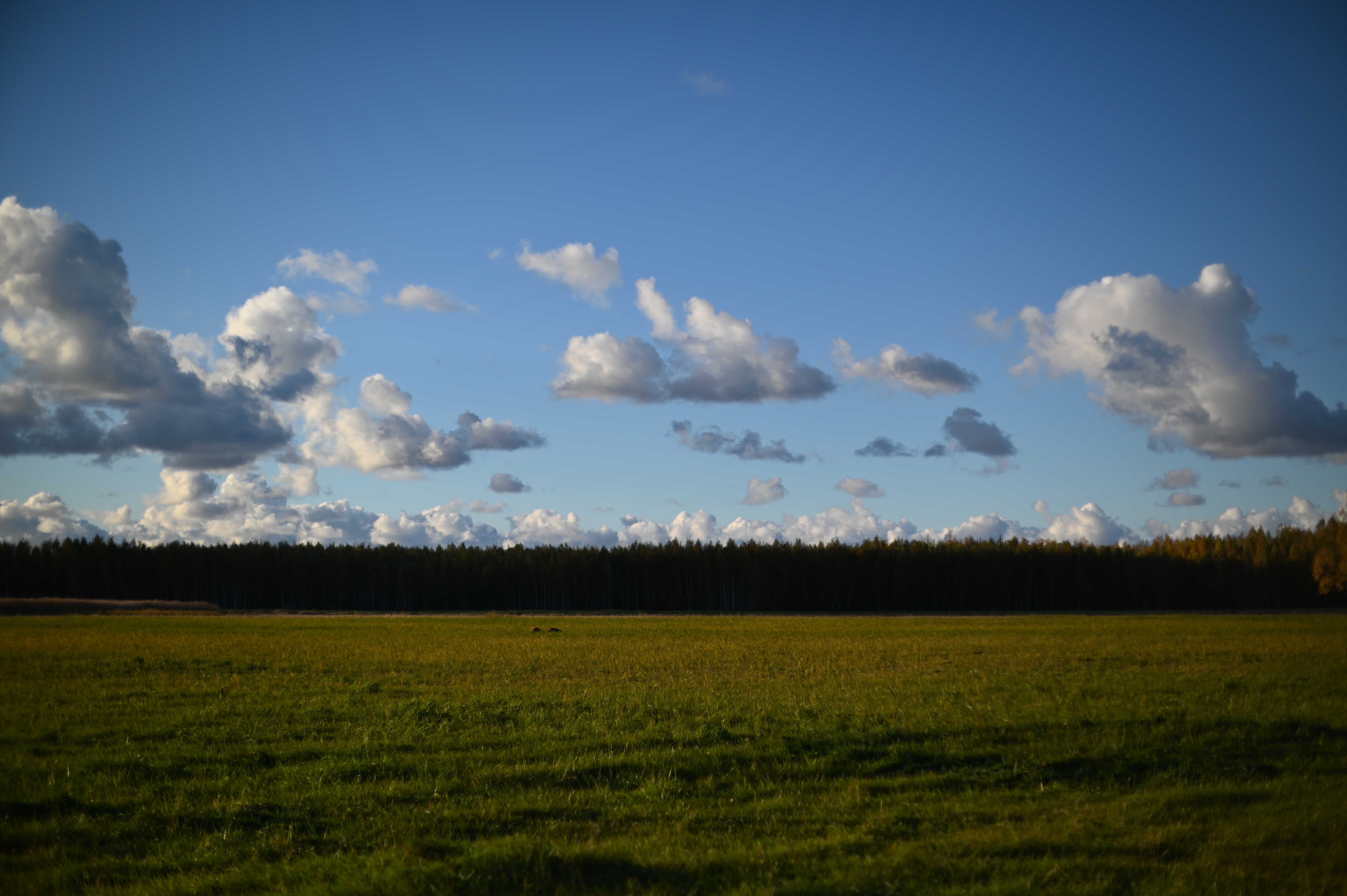 2025/10/18 - walk/DSC_0170.JPG